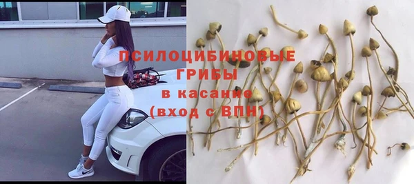 круглые Бронницы