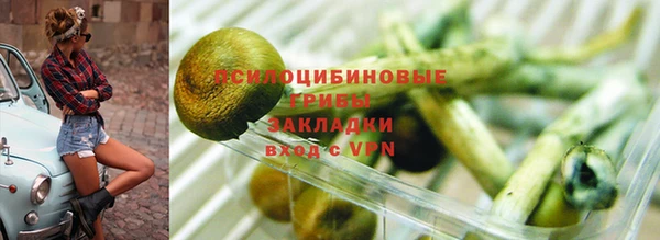 круглые Бронницы