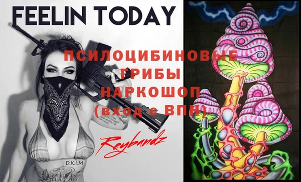 шишки Бугульма