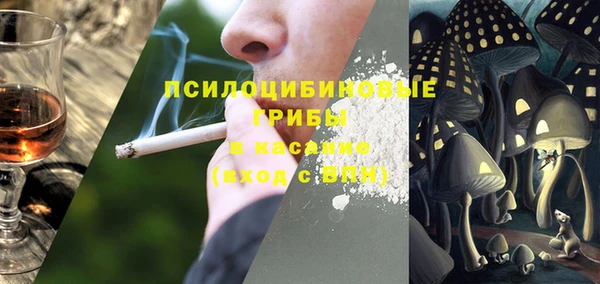 шишки Бугульма