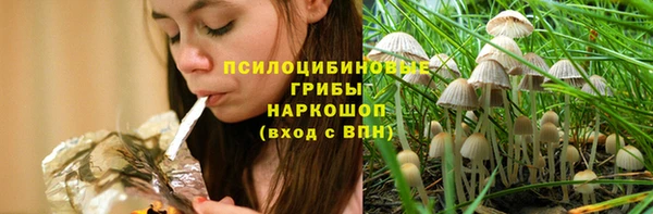 шишки Бугульма