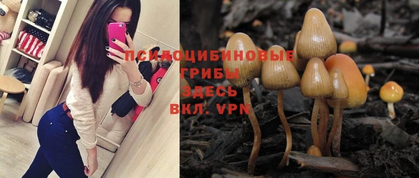 круглые Бронницы
