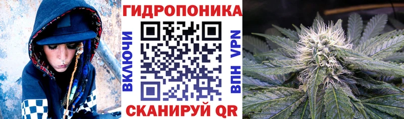 Марихуана конопля  Новоржев 